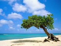 normal_www_tapety-wallpapers_cz-more-plaze_obrazky-05655.jpg